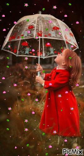 海边水中玫瑰花图片高清大图,最美山水花草倒影图片