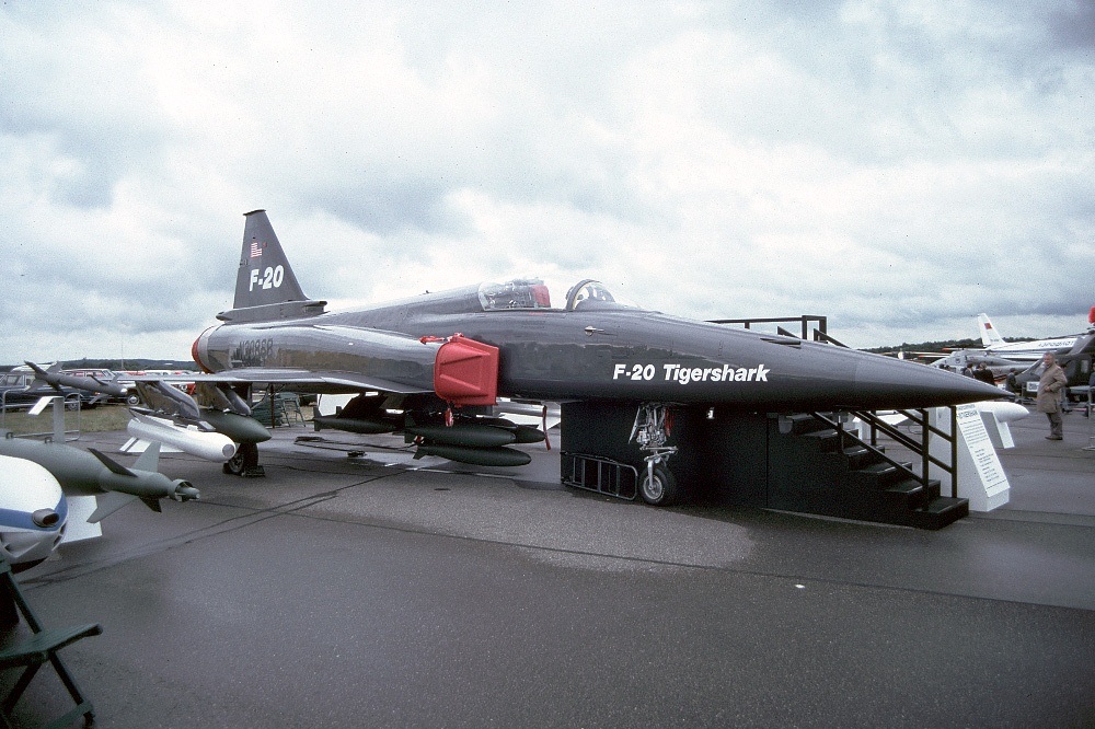 极富悲剧色彩的虎鲸,虎鲨悲剧