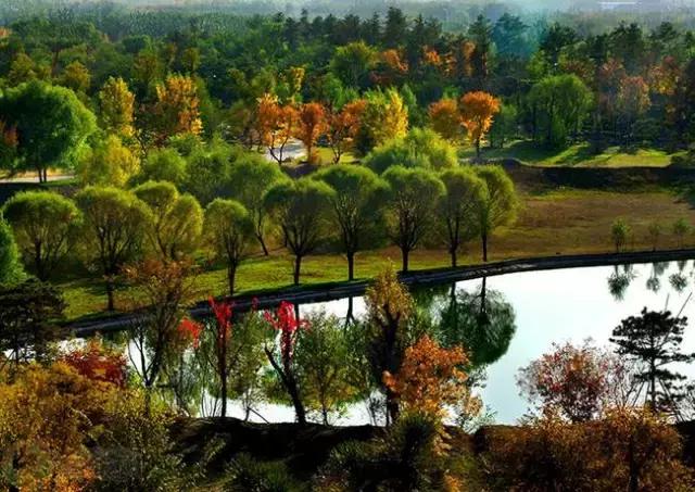 北京这38个森林公园您先收藏了!定个小目标,有空儿玩个遍!