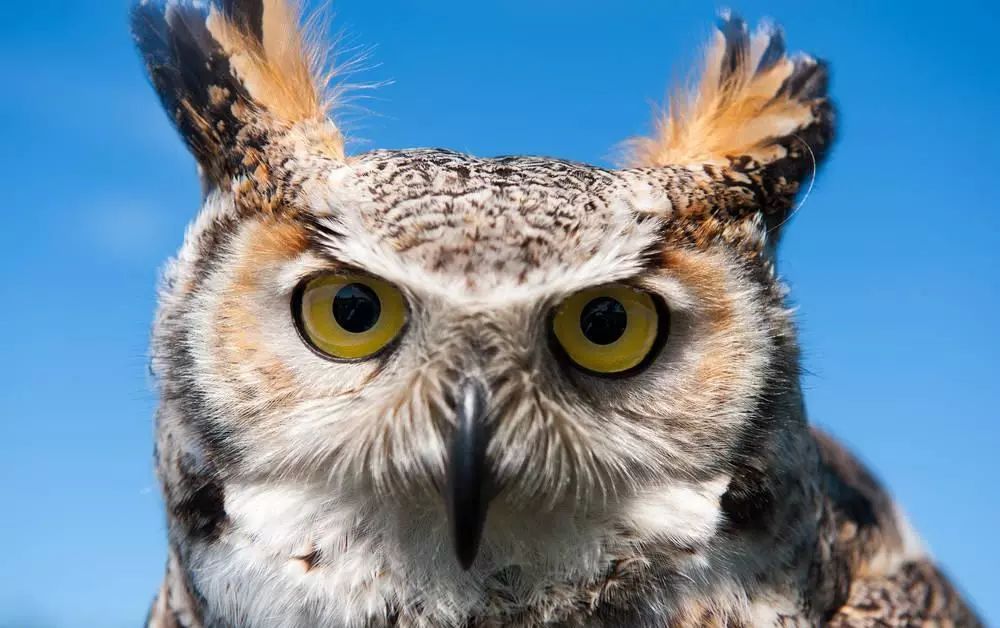 disc职业性格测试40题在线测试,disc性格测试一共多少题