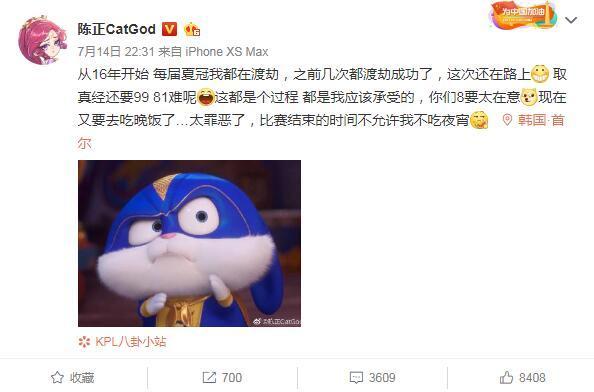 王者荣耀猫神cat怎么打辅助了,王者荣耀猫神cat夺了几冠