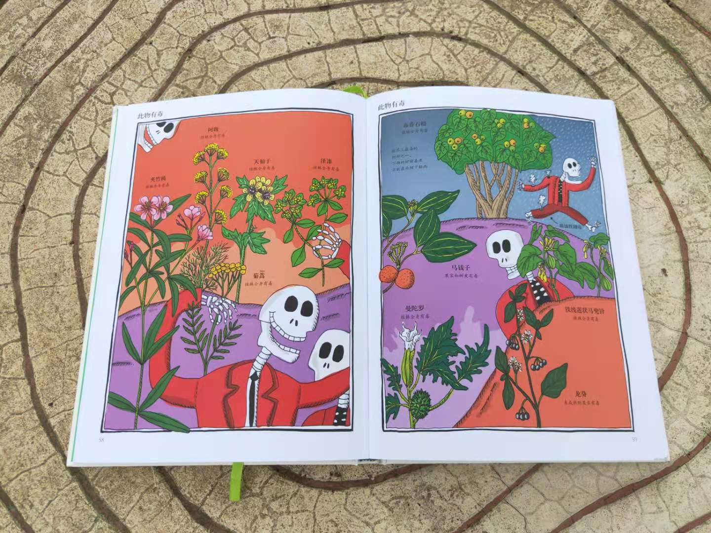 哪些植物有自己的小秘密,植物的朋友圈绘本视频