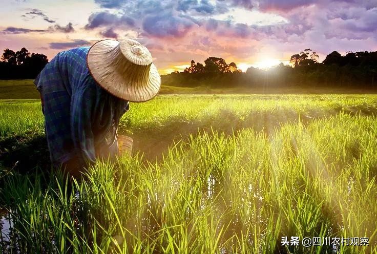 农业合作社税收优惠条件,农民合作社有什么补贴政策