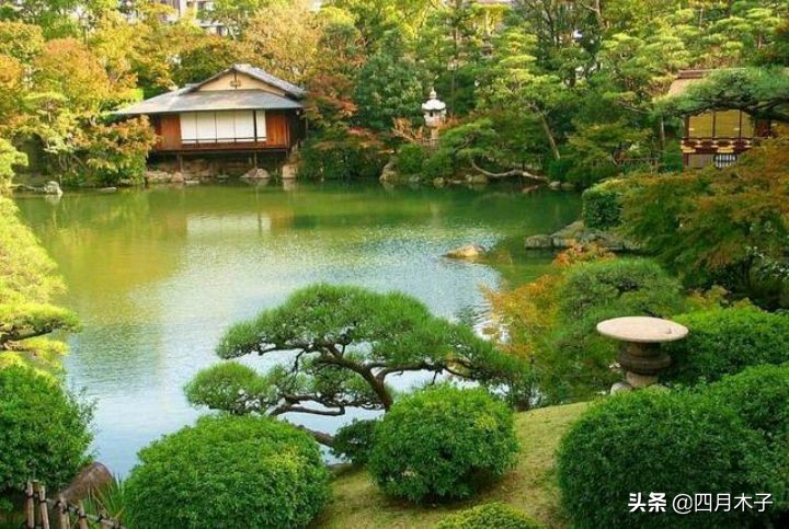 简短点赞率最高的句子,点赞最多感恩简短走心的句子