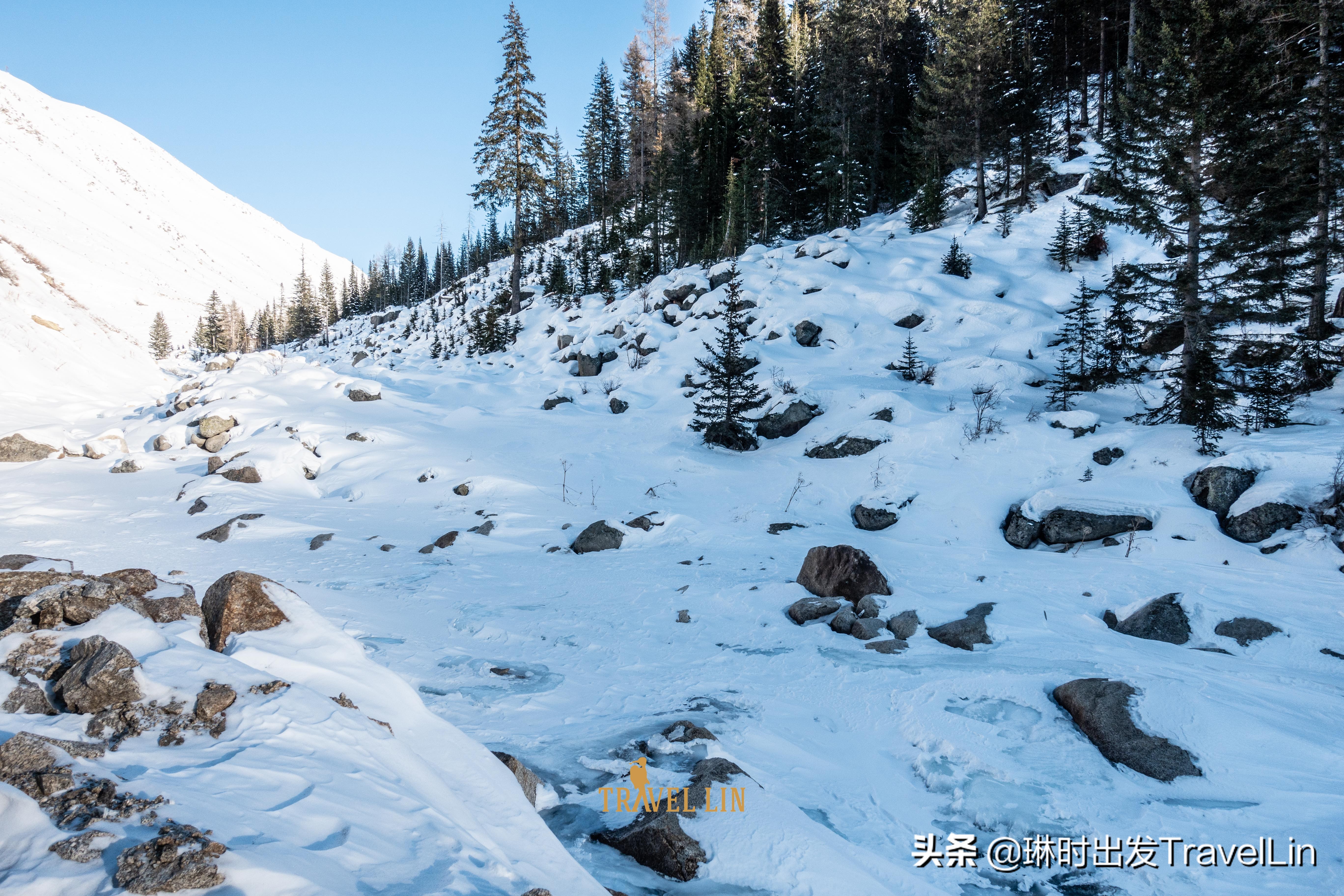 阿尔泰山野雪公园自由行热门攻略,阿尔泰山是中国最好的滑雪胜地
