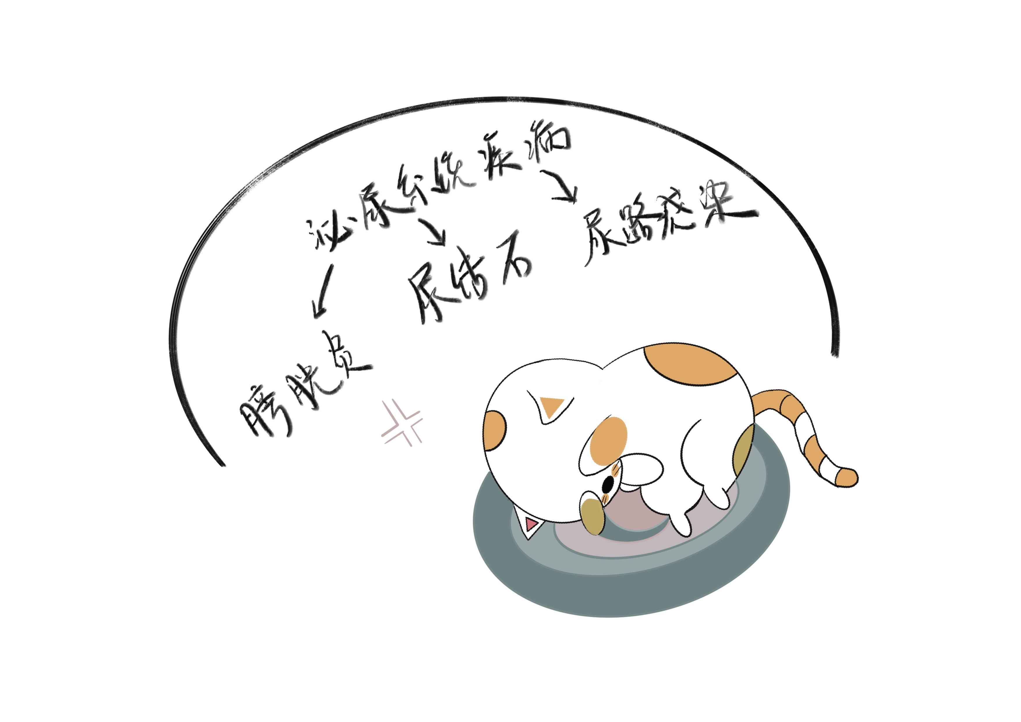 铲屎官：猫主子在家乱撒尿应该怎么办？先找原因，然后再解决问题