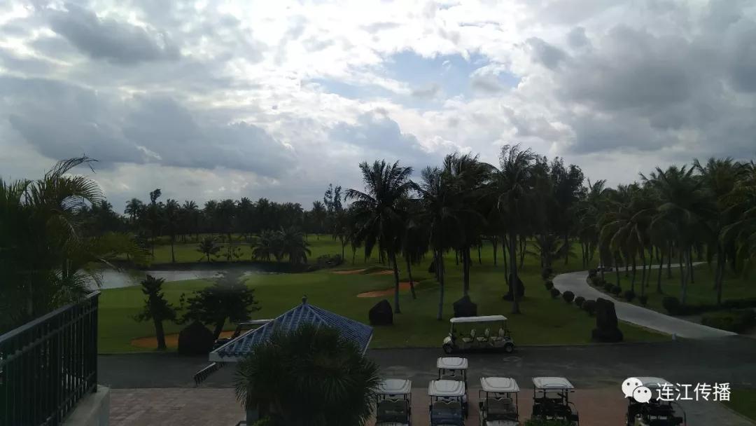 那个叫豆豆的“天使”走了