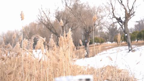 拥有属于自己摇滚的电影—便携式魔爪slypodE电动伸缩摄影杆评测