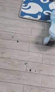 氯气中毒儿童,2岁娃氯气中毒