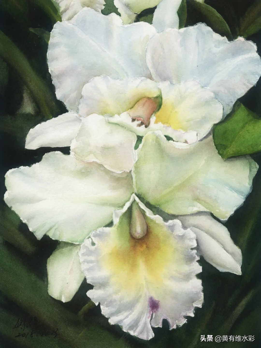 一个理工男的避坑指南,水彩入坑第一天