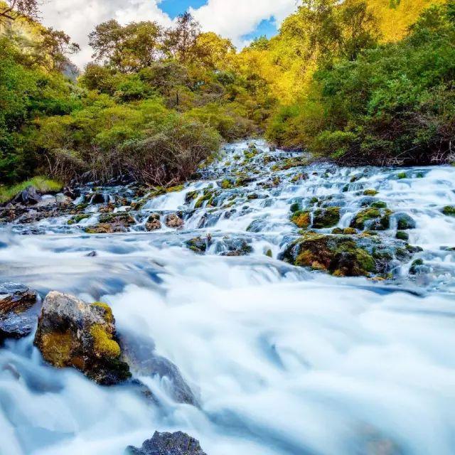 九寨沟旅游神奇的九寨,九寨沟风景不输瑞士