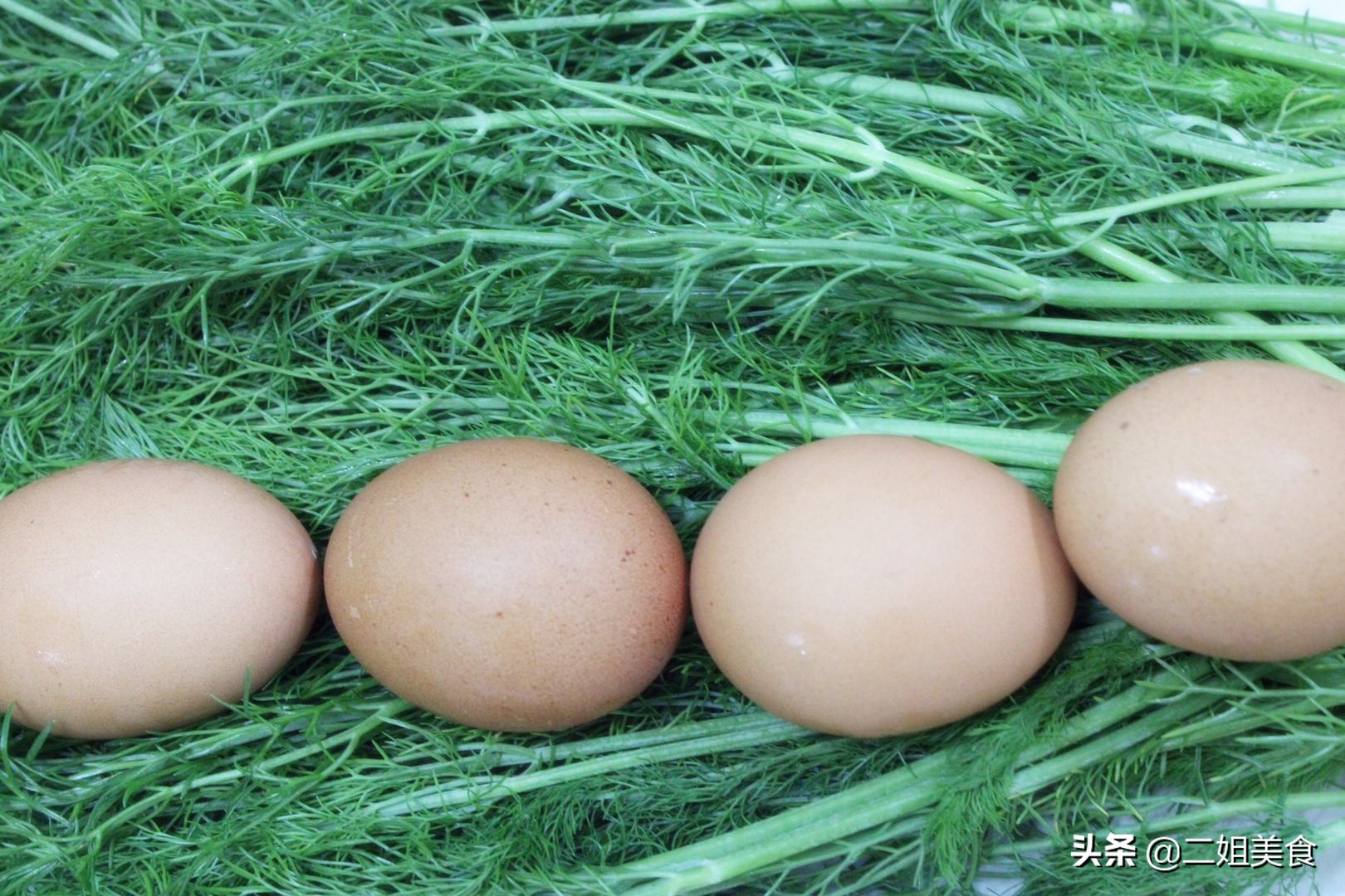 茴香炒鸡蛋怎么炒,茴香炒鸡蛋的正确做法