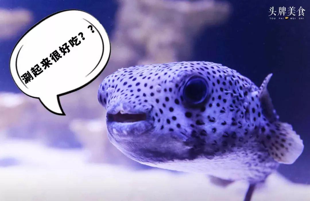 绚丽珊瑚海300+种海底生物，火爆盆友圈的网红打卡圣地就在中山路