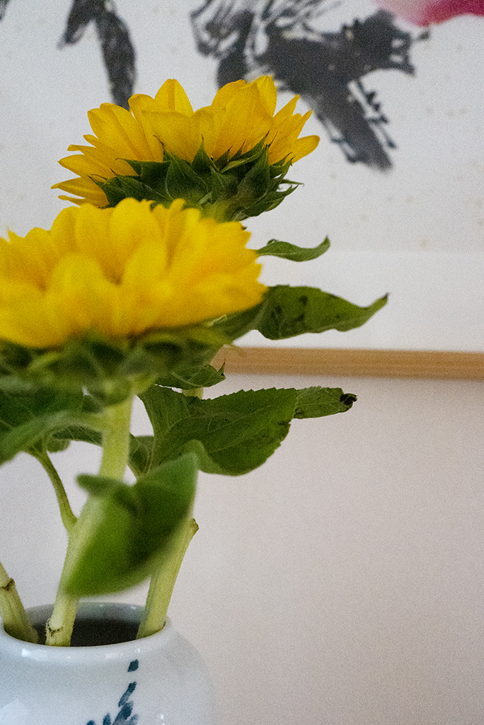 清凉山居叠拼没证,清凉山居别墅300平