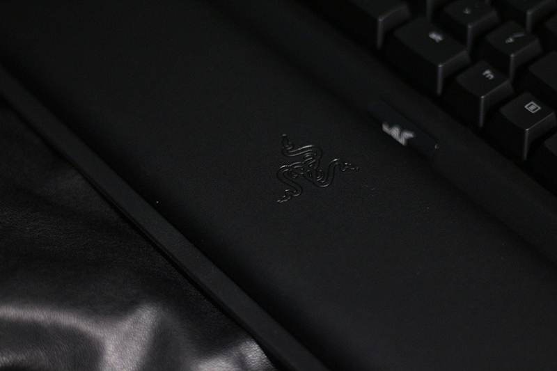 黑寡妇蜘蛛幻彩版和标准版,黑寡妇蜘蛛幻彩版灯光