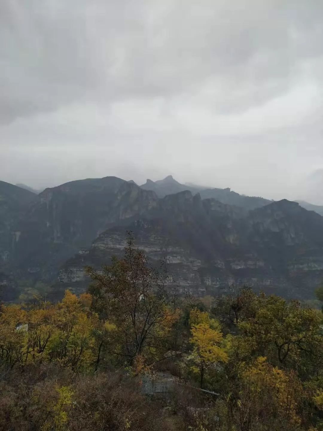 房山南北梯摘柿子,冬天去清凉山摘柿子