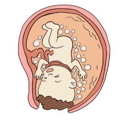 孕36周到37周有什么检查,孕36周各项发育指标对照表