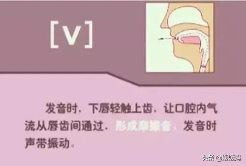 音标教学视频48个快速记忆法,英语48个音标发音教程视频