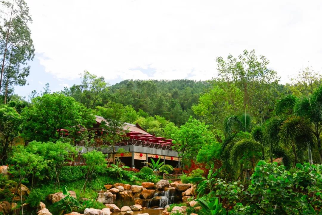 佛山美的鹭湖399抢购岭南花园公寓,广东佛山美的鹭湖195元