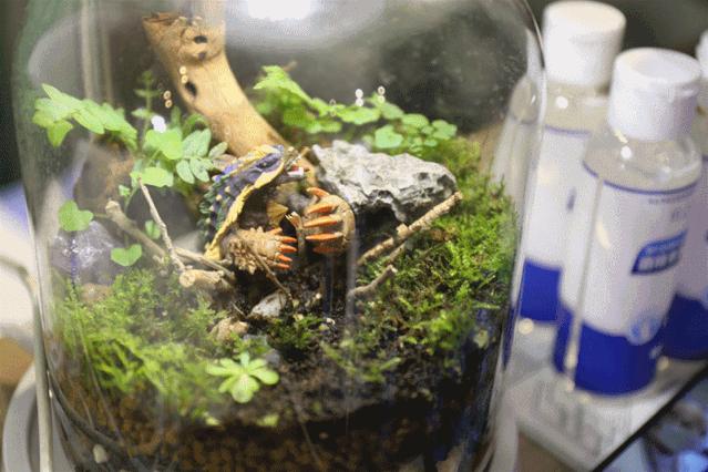 《喺咪松D先》加餐版！携手大旧Bob，带你周末哨街叉叉电~