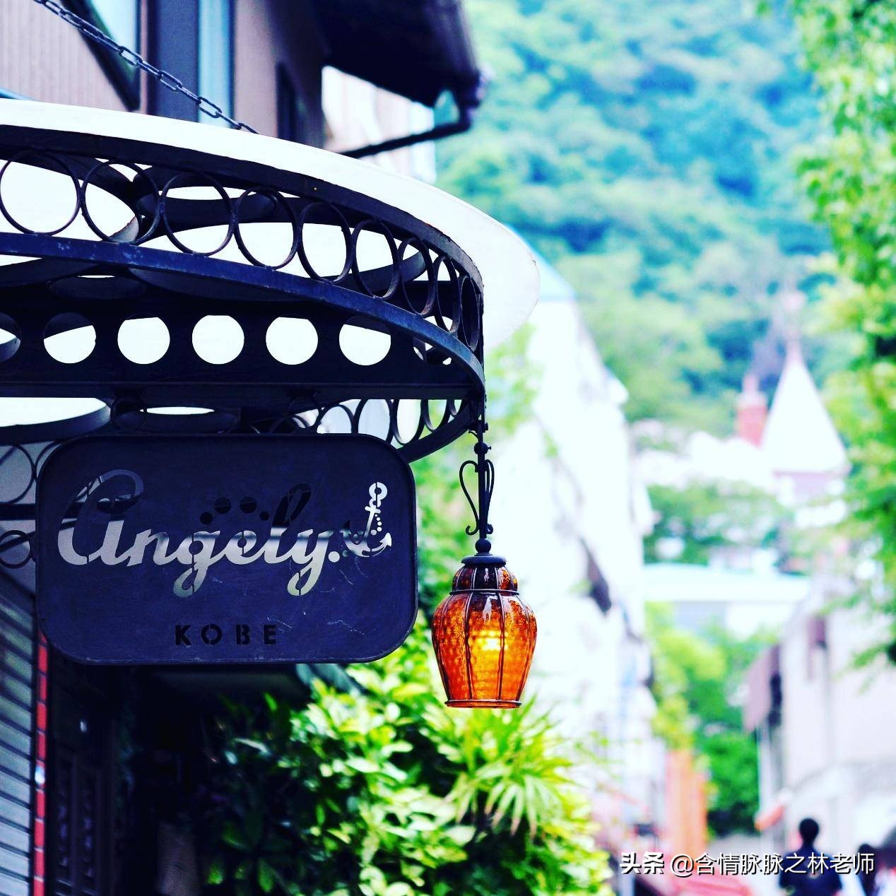 室内三种最旺家庭养植物,家居绿植哪些不适宜养