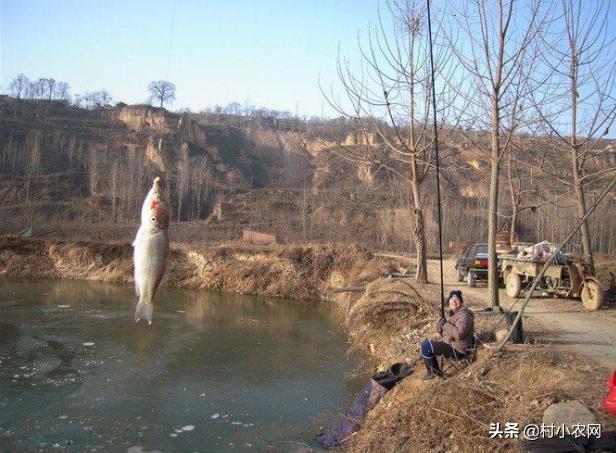 2022年农村创业什么最赚钱快,适合农村创业的最新致富项目