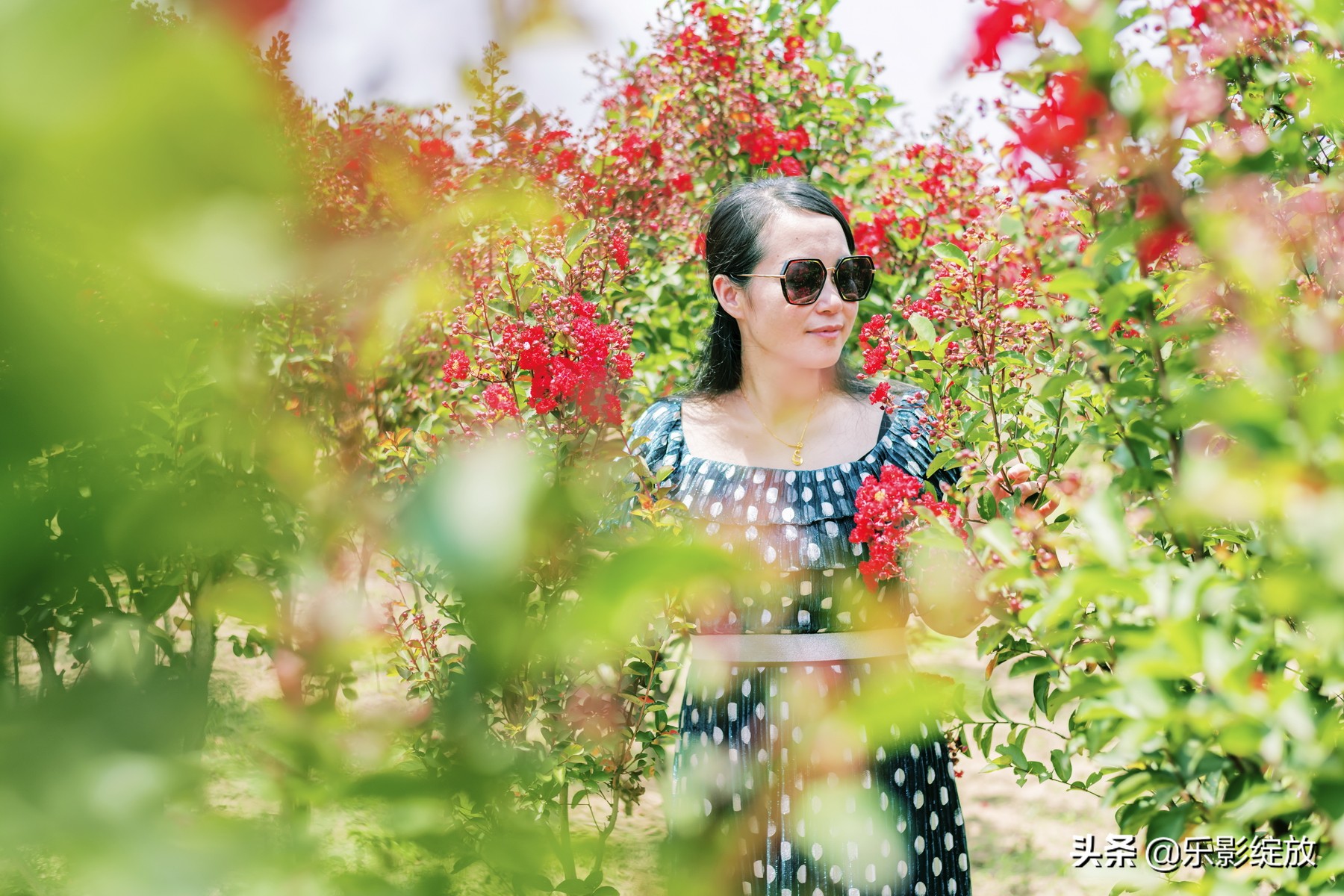 二十年相聚完整版,二十年再聚首