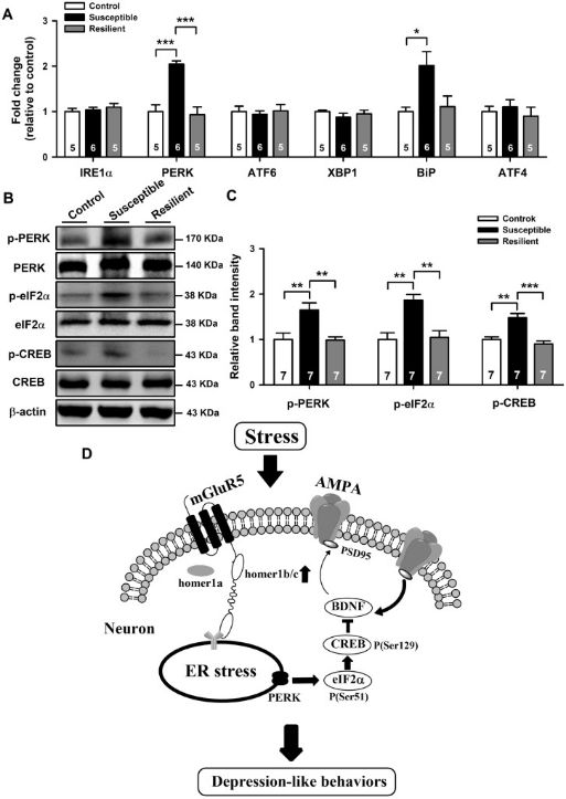 认知疗法治疗抑郁症的策略,抑郁症最新研究资讯