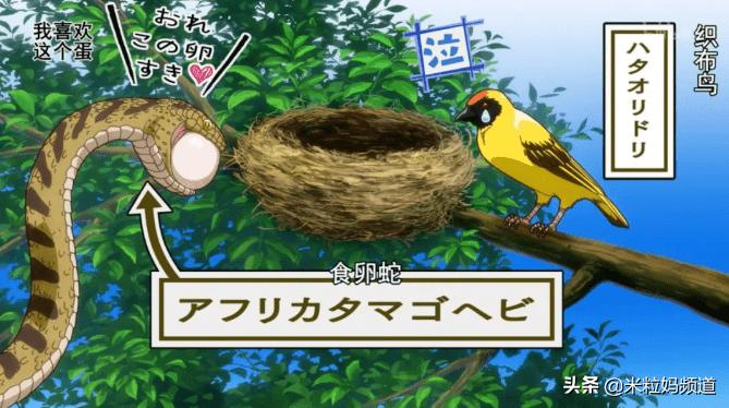 年度惊喜电影,8部科普必看的动画片