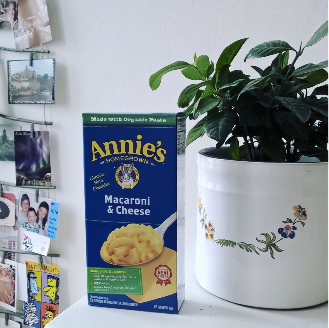 我在捷克的那些年，一位旅居捷克的国人的生活日记