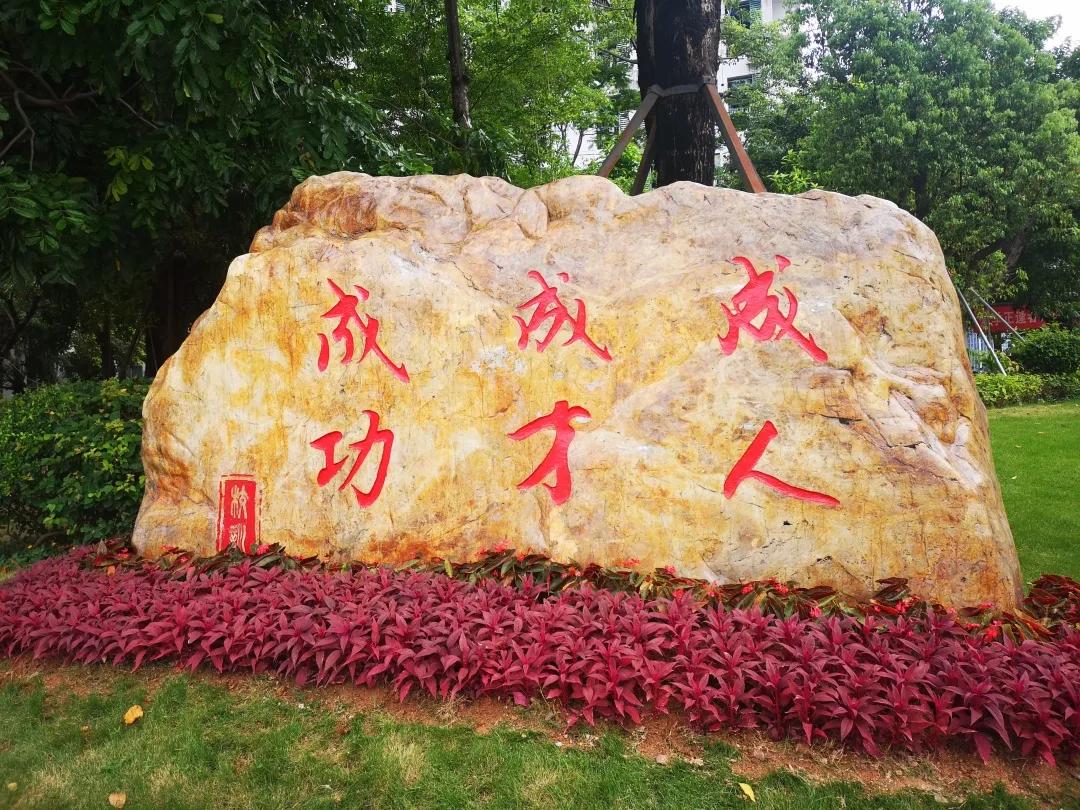 深圳宝安中学前200名有希望吗,宝安中学全省排名