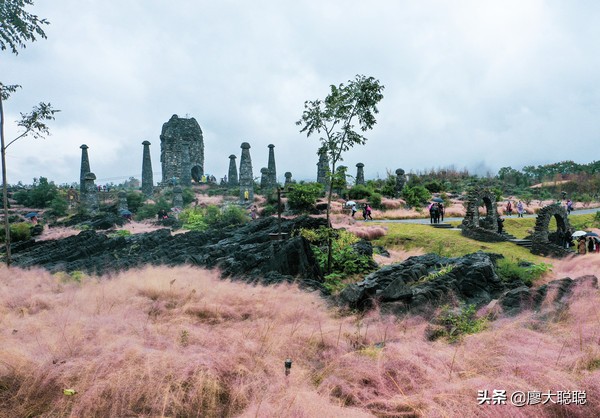 重庆这片花海你还没有来打开，那你就输了