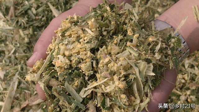 青储玉米秸秆废水处理,玉米秸秆发霉了怎么处理