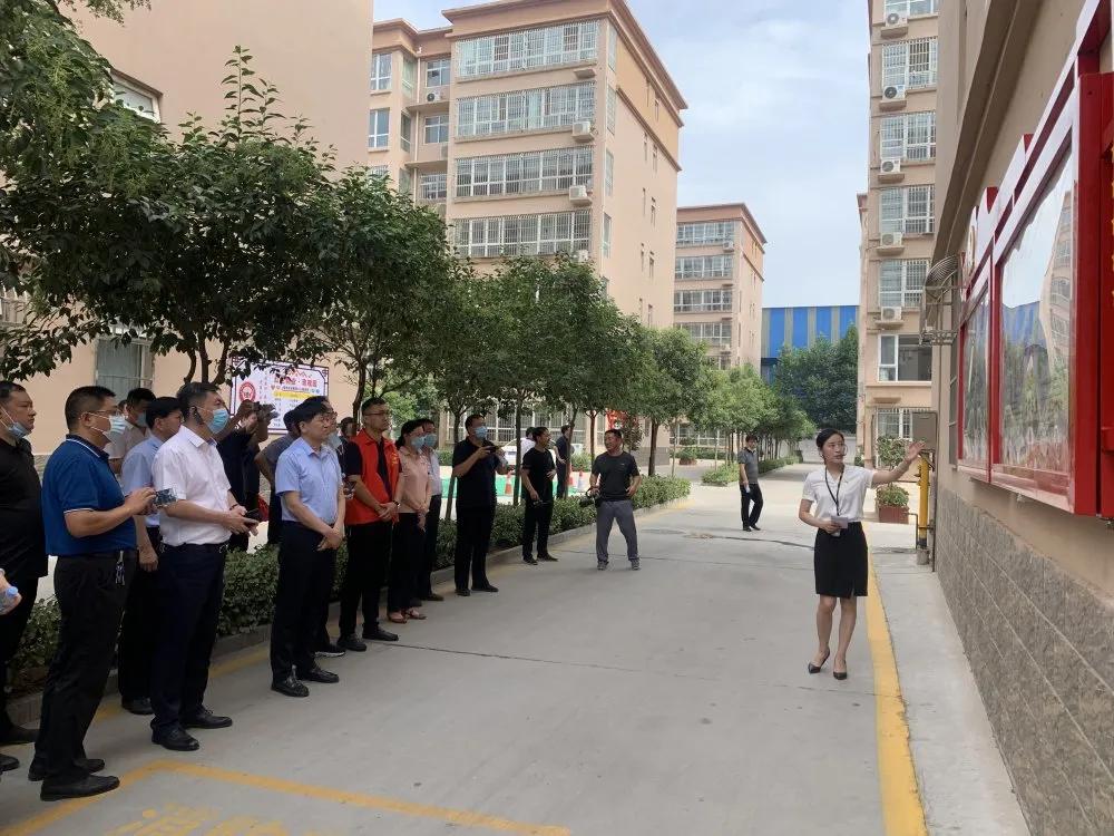 新乐看新乐,新乐市高清视频