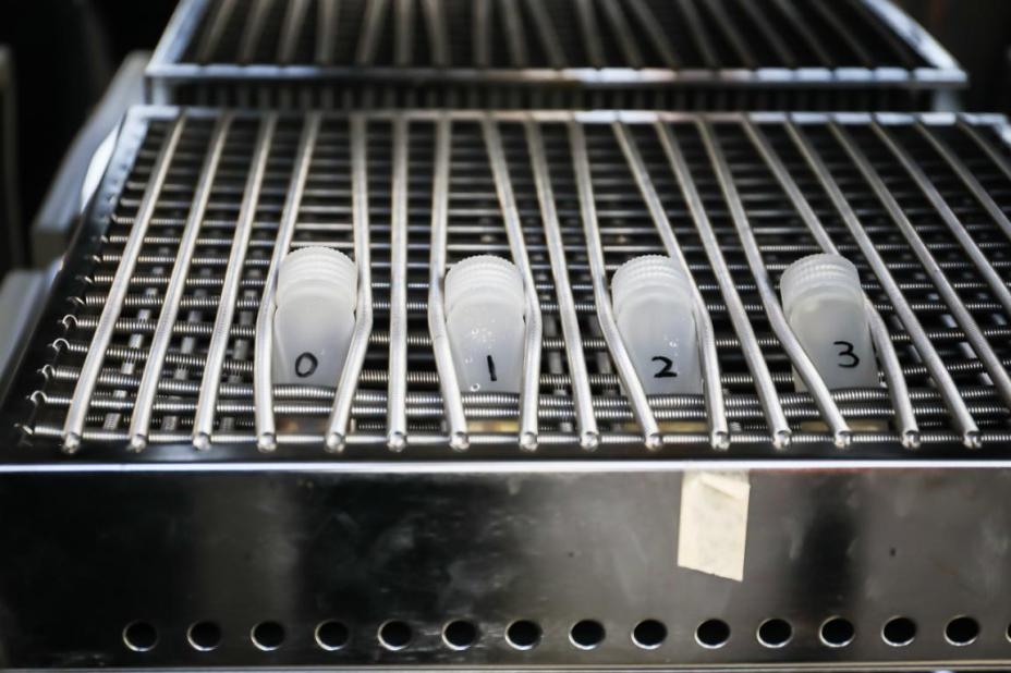 实验室｜去除腐烂部分的果蔬还能吃吗？实在舍不得扔怎么办？