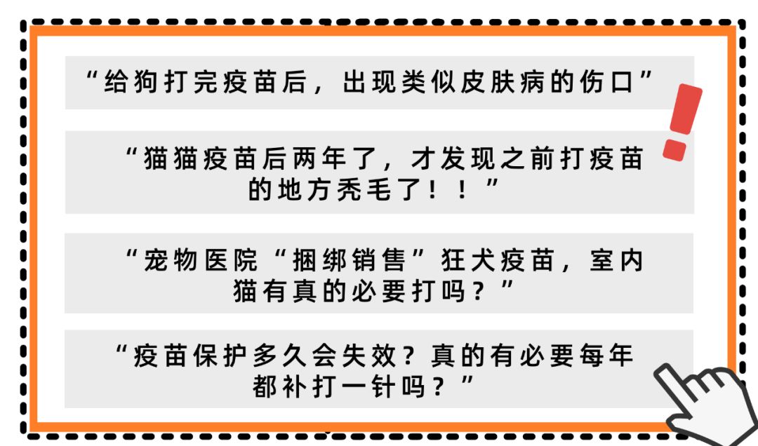小猫打针后死了,小猫打了狂犬疫苗还会得病吗