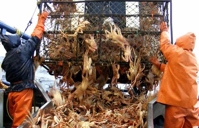 在多伦多吃喝玩乐,加拿大多伦多鱼乐轩大龙虾