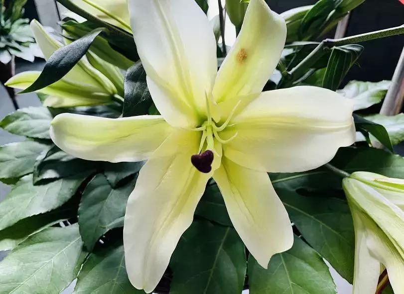 北京延庆旅游攻略必去景点,延庆旅游攻略百里画廊