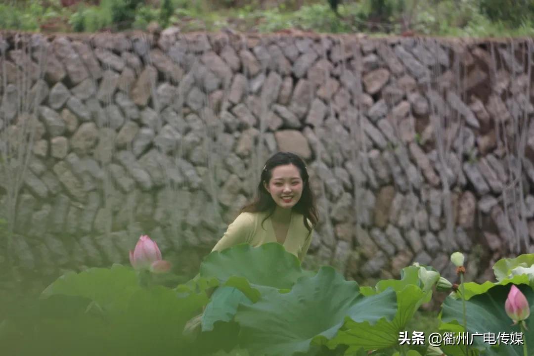 赏荷地图最新版,衢州赏荷