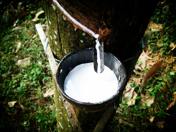 左小青许晴照片图文,40岁左小青近照曝光