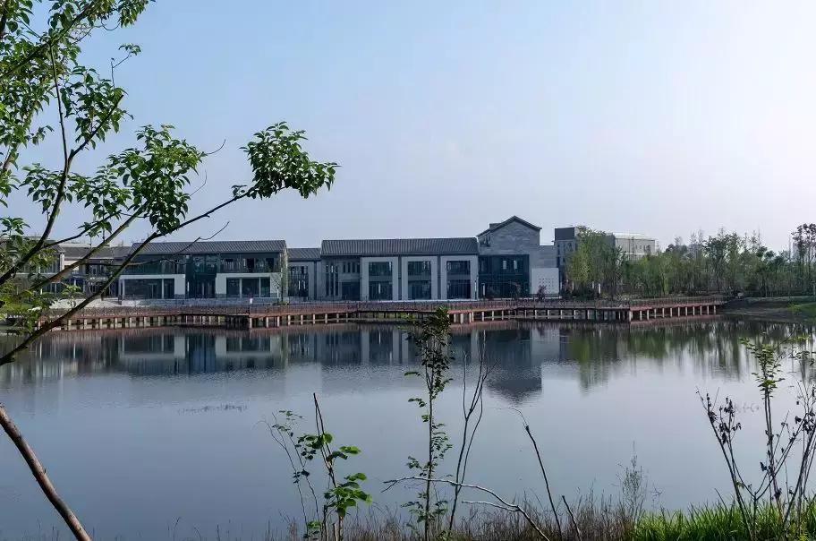 广安花海公园,广安有哪些美景