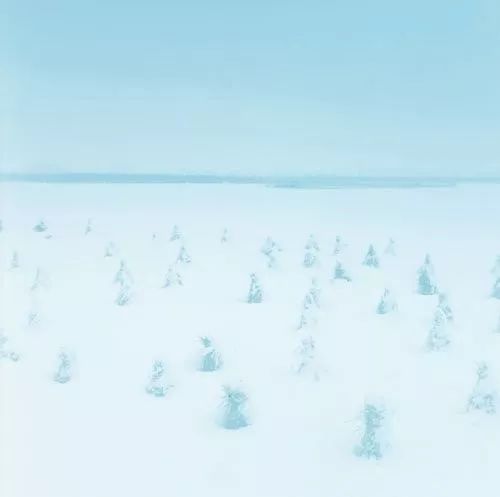 张晓风的介绍,张晓风最经典语录