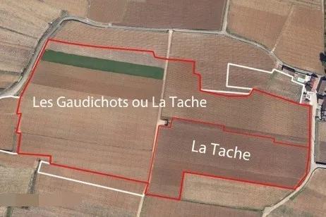 勃艮第独占葡萄园,勃艮第有哪些园