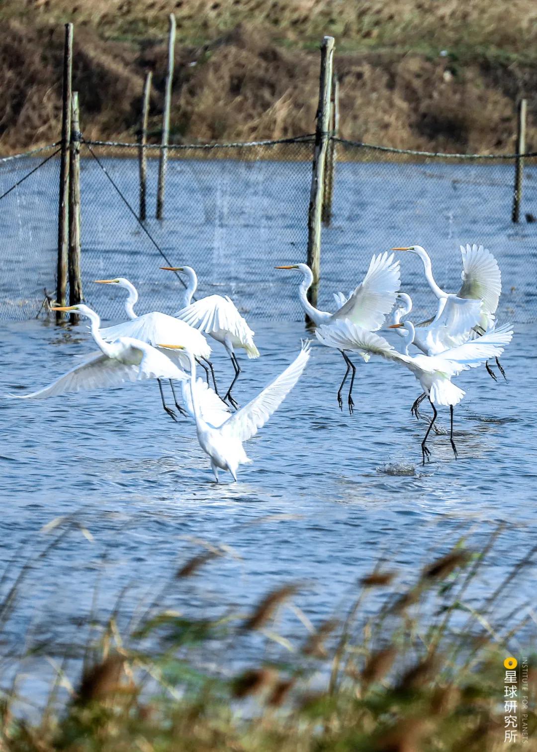 平潭在哪里租车,平潭在哪里哪个城市