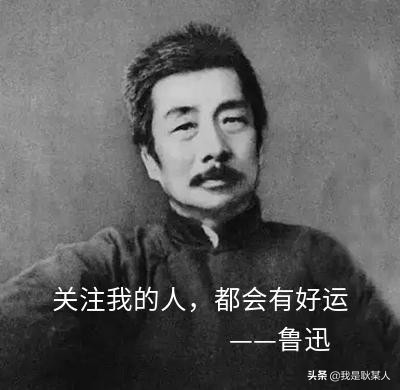 找不到视频素材？有了这三个网站，快速找到所需素材