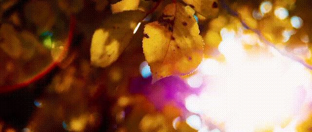 烟台哪里的消费最高,盘点什么烟台最贵