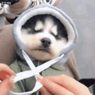 大痘印适合做什么医美,医美做什么可以去除痘坑