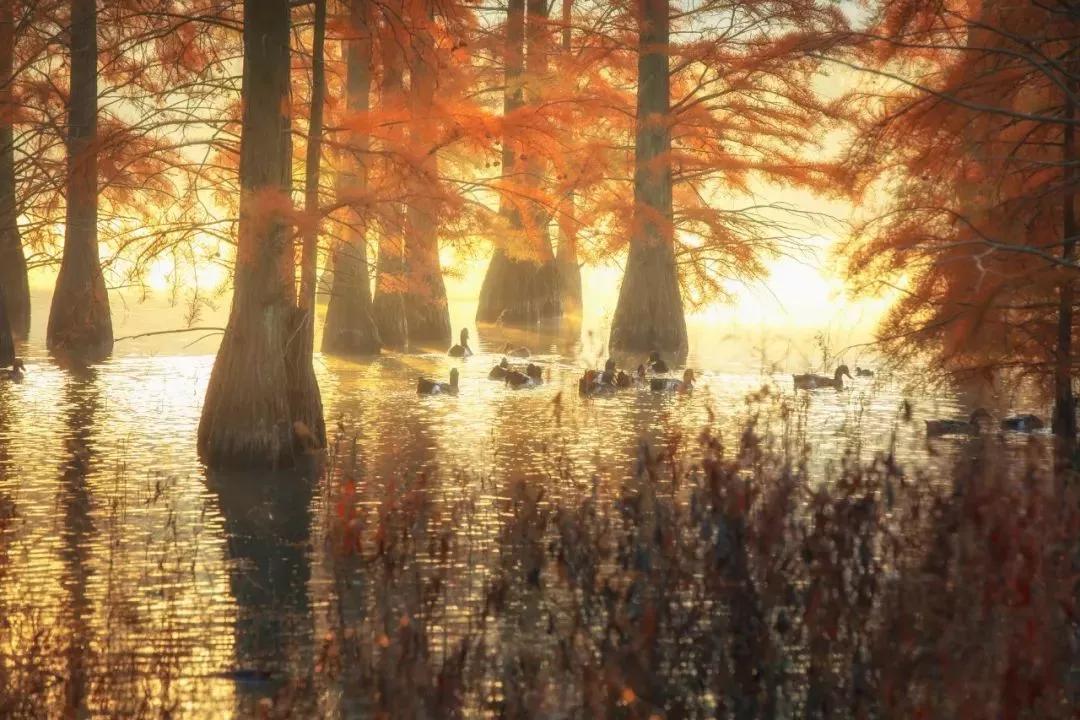 10月下旬徽州摄影推荐,金秋皖南婺源摄影之旅