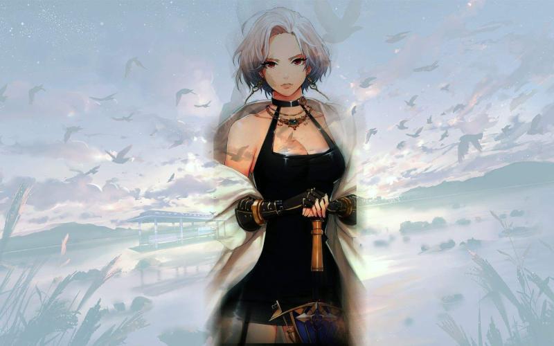 dnf全职业伤害标准,dnf剑宗技能栏