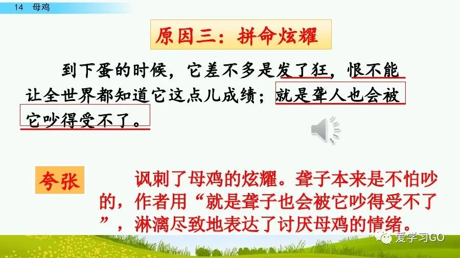部编版四年级下册15课白鹅解析,部编版四下语文第13课母鸡预习